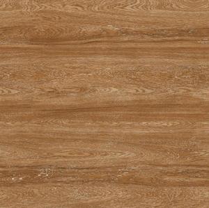 60 X 60 MODERNA MYF1001-R66