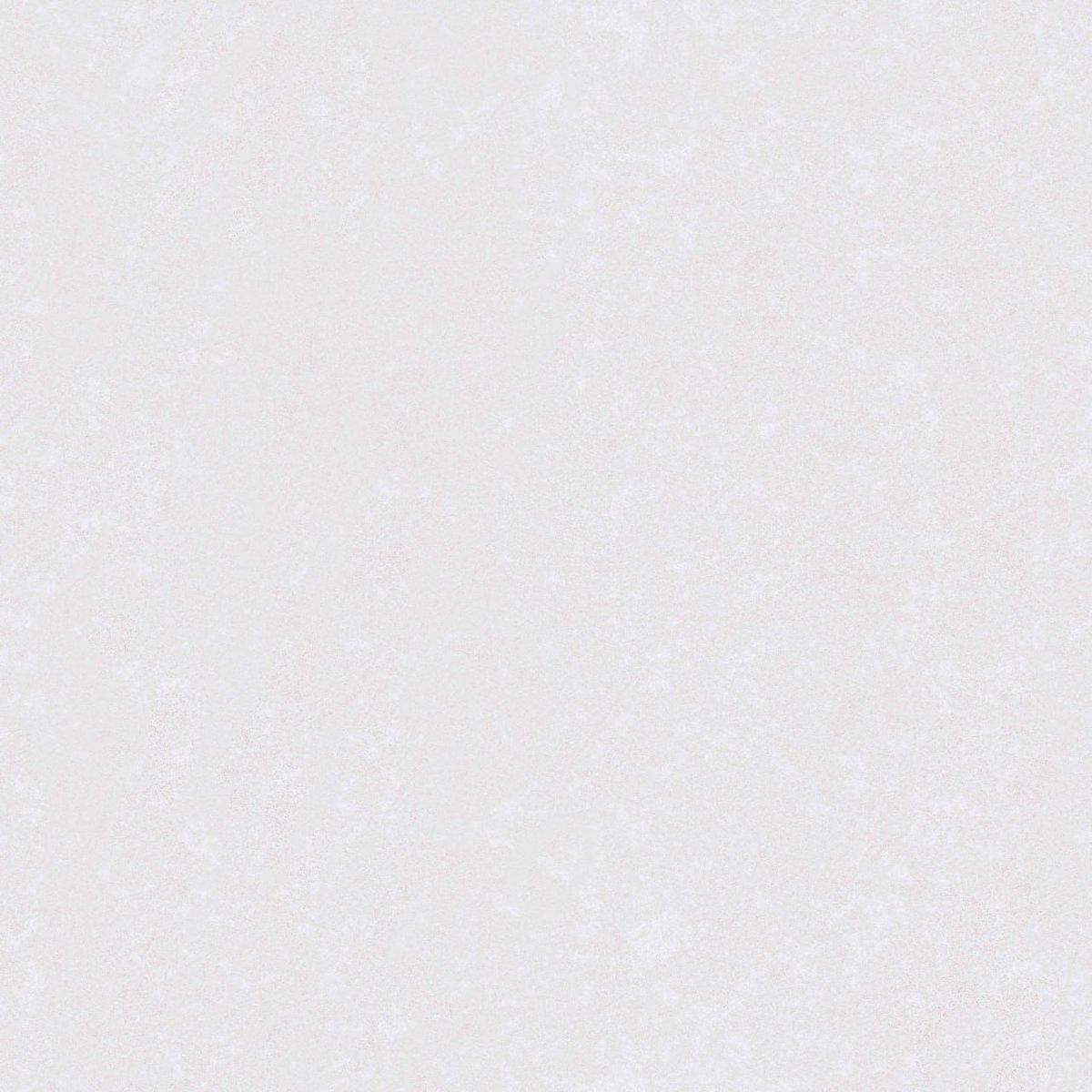 60 X 60 MODERNA D2002-R66
