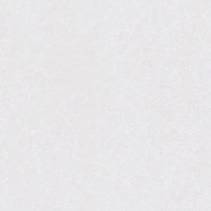 60 X 60 MODERNA D2002-R66