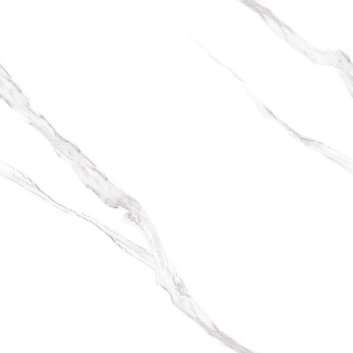 60 X 60 MODERNA MYF2016-R66
