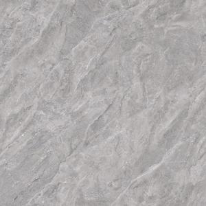 60 X 60 MODERNA MYF1010-R66