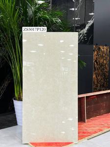 60 X 120 YONGXIN ZS5017P120