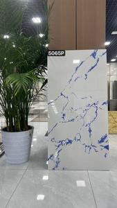 60 X 120 YONGXIN ZS5065P120