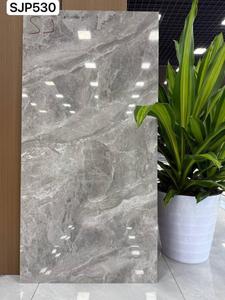 60 X 120 YONGXIN SJP530